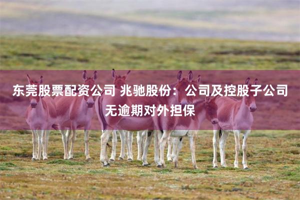 东莞股票配资公司 兆驰股份：公司及控股子公司无逾期对外担保