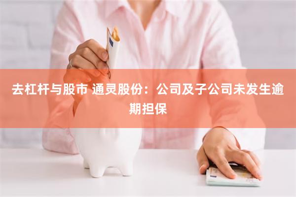 去杠杆与股市 通灵股份：公司及子公司未发生逾期担保