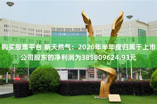 购买股票平台 新天然气：2026年半年度归属于上市公司股东的净利润为385809624.93元