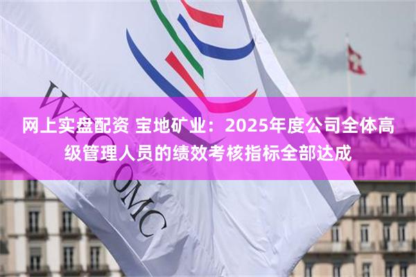 网上实盘配资 宝地矿业：2025年度公司全体高级管理人员的绩效考核指标全部达成