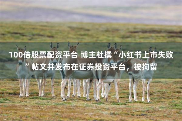 100倍股票配资平台 博主杜撰“小红书上市失败”帖文并发布在证券投资平台，被拘留