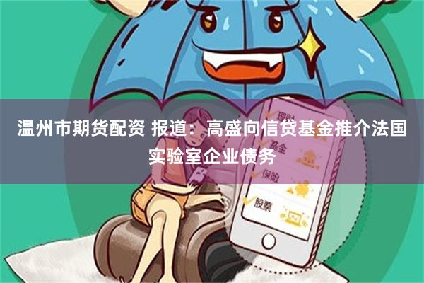 温州市期货配资 报道：高盛向信贷基金推介法国实验室企业债务