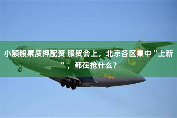 小额股票质押配资 服贸会上，北京各区集中“上新”，都在抢什么？