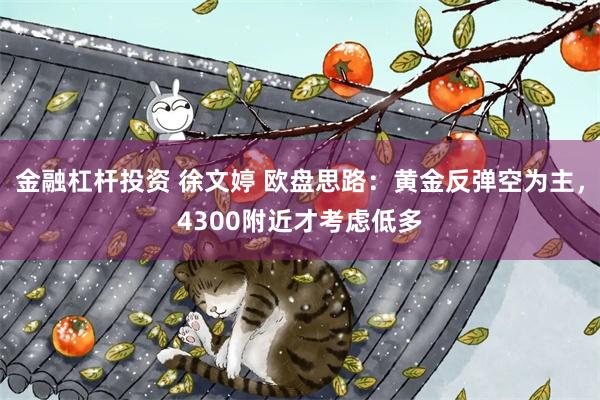 金融杠杆投资 徐文婷 欧盘思路：黄金反弹空为主，4300附近才考虑低多