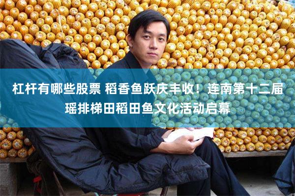 杠杆有哪些股票 稻香鱼跃庆丰收！连南第十二届瑶排梯田稻田鱼文化活动启幕