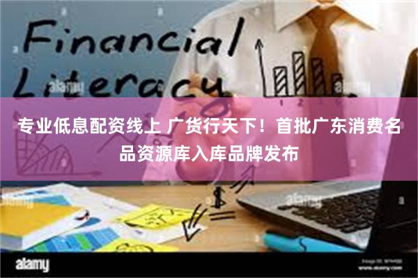 专业低息配资线上 广货行天下！首批广东消费名品资源库入库品牌发布