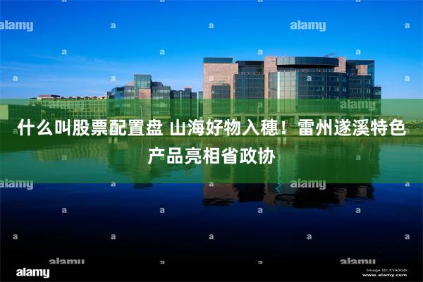 什么叫股票配置盘 山海好物入穗！雷州遂溪特色产品亮相省政协
