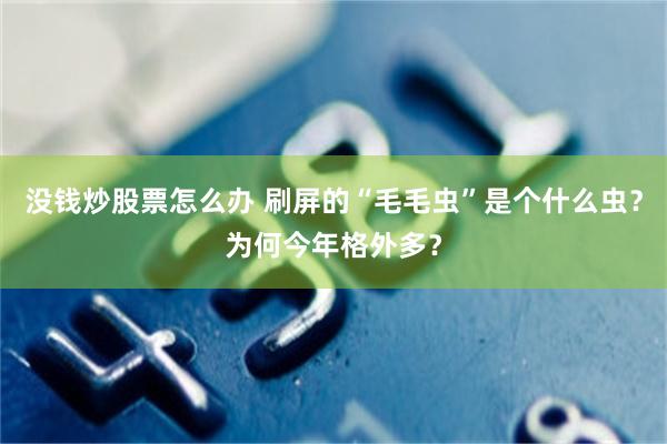 没钱炒股票怎么办 刷屏的“毛毛虫”是个什么虫？为何今年格外多？