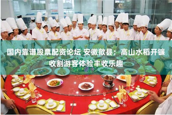 国内靠谱股票配资论坛 安徽歙县：高山水稻开镰收割游客体验丰收乐趣